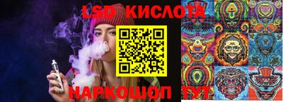 прущие грибы Краснознаменск